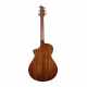 CONCIERTO DE BREEDLOVE DISCOVERY S CE