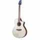 BREEDLOVE DISCOVERY S CONCERT CE