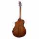 BREEDLOVE DISCOVERY S CONCERT CE