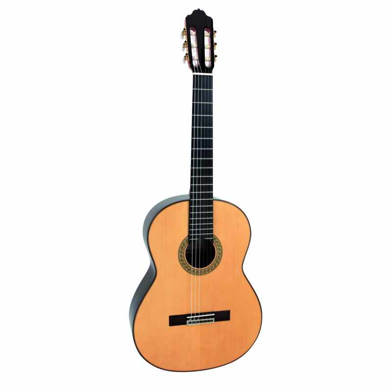 ESTEVE GITARRE 7SR EPICEA TISCH ETUI