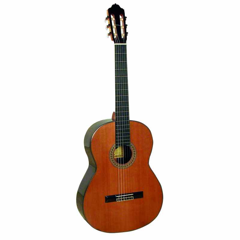 ESTEVE GITARRE 7SR CEDER DECKE ETUI