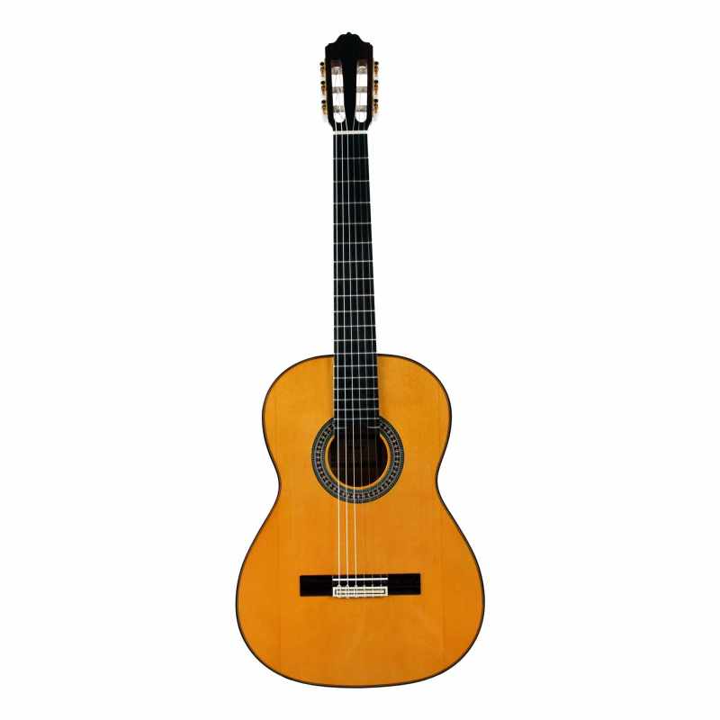 GUITARRA ESTEVE 5FES MESA EPICEA