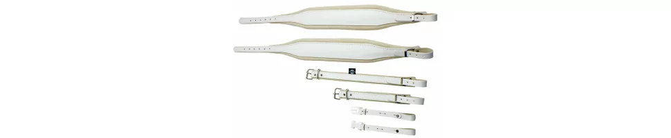 Accessoires Accordéons