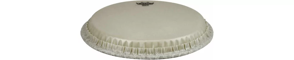 Congafelle