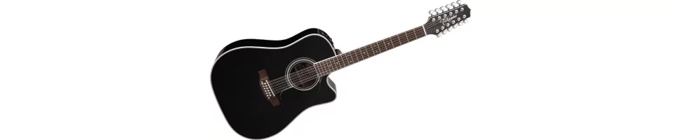 12-string acoustic guitars