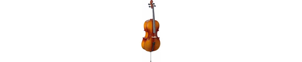 Violoncelles