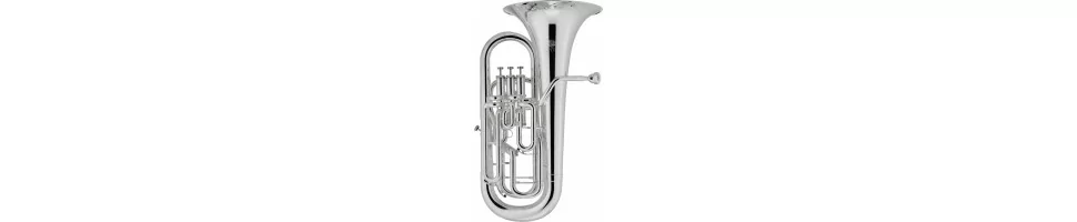 Euphonien