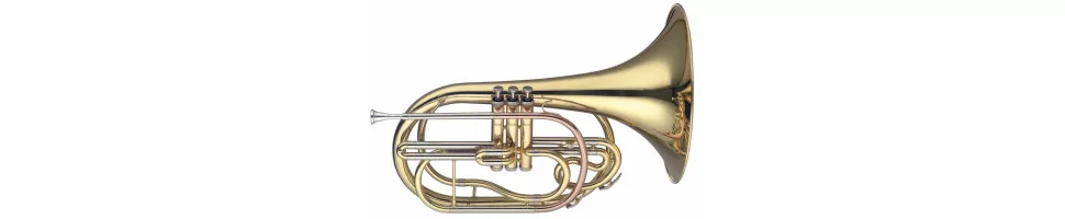 Marching Blasinstrumente
