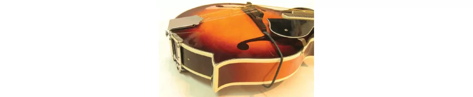 Micrófonos para instrumentos tradicionales
